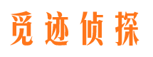 大洼市私人侦探